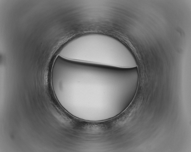 X0000112910299200908241014