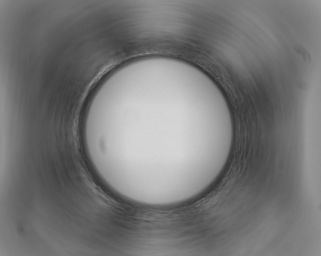 X0000112910300200908241014