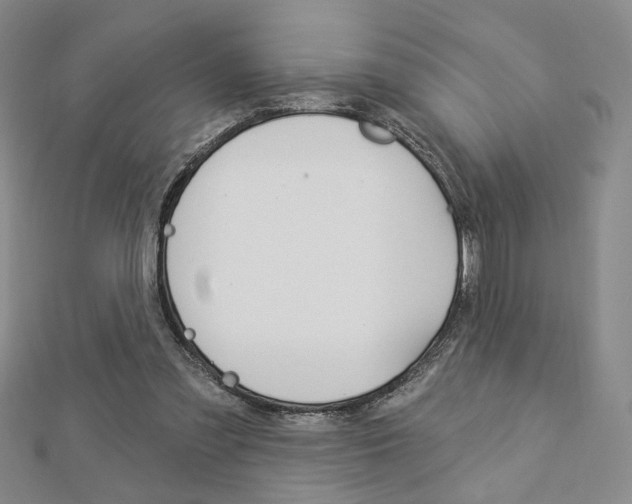 X0000112910301200908241014