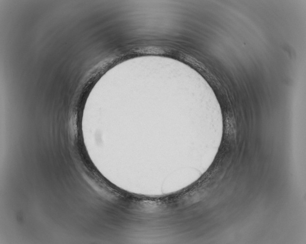 X0000112910302200908241014