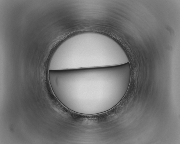 X0000112910303200908241014
