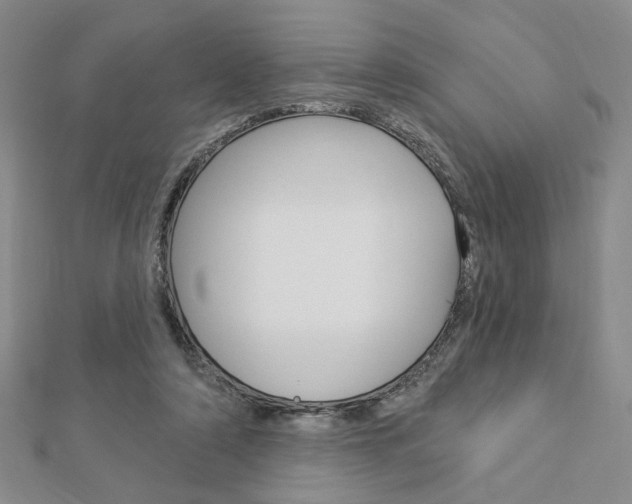 X0000112910306200908241014