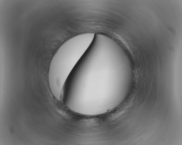 X0000112910307200908241014