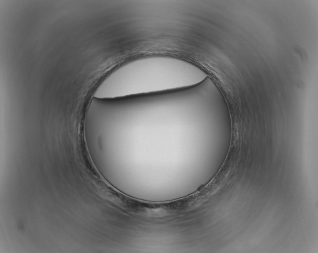 X0000112910309200908241014
