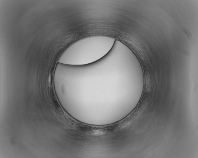 X0000112910310200908241014