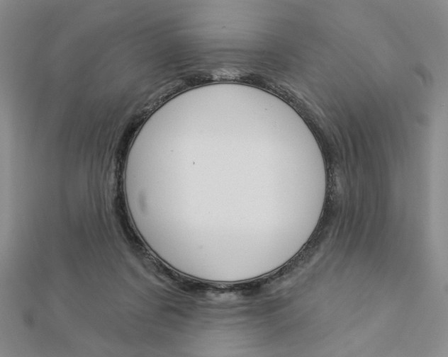 X0000112910311200908241014