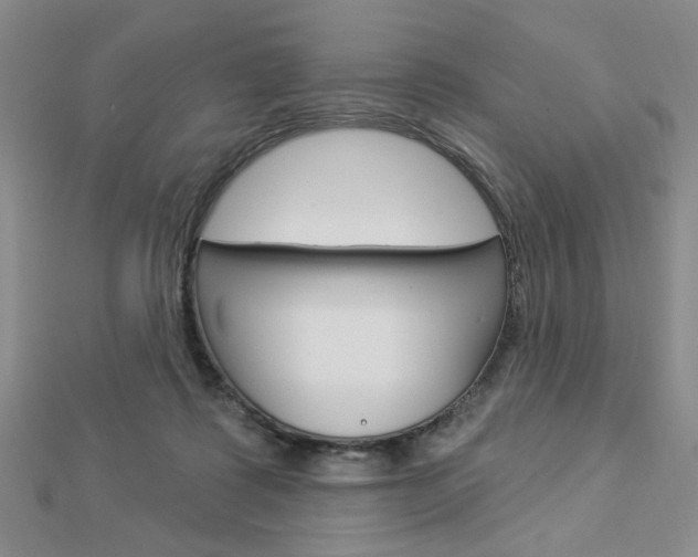 X0000112910315200908241014