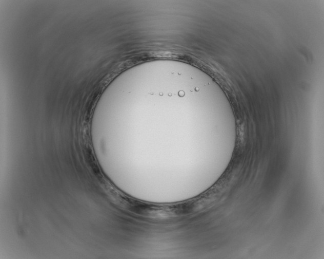 X0000112910322200908241014