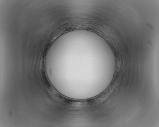 X0000112910323200908241014