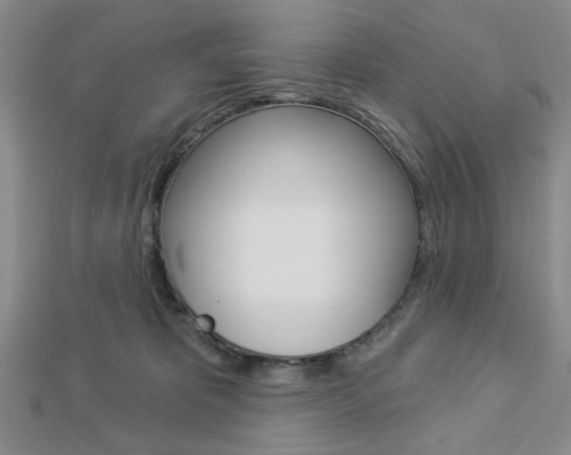 X0000112910325200908241014