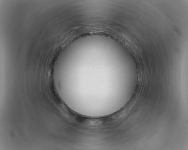 X0000112910327200908241014