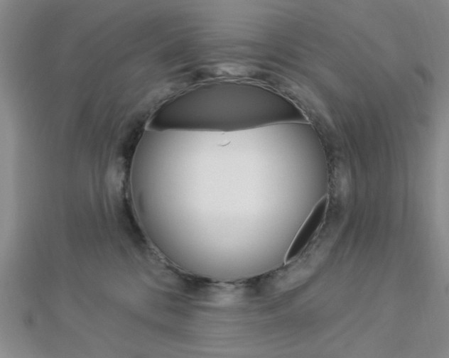 X0000112910328200908241014