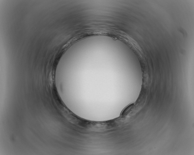 X0000112910329200908241014