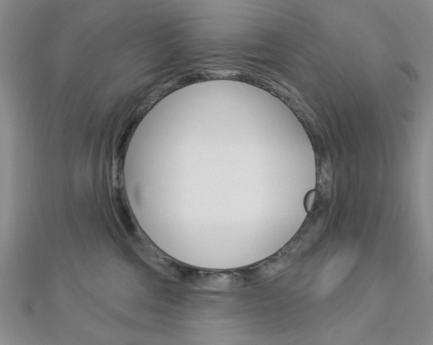 X0000112910330200908241014