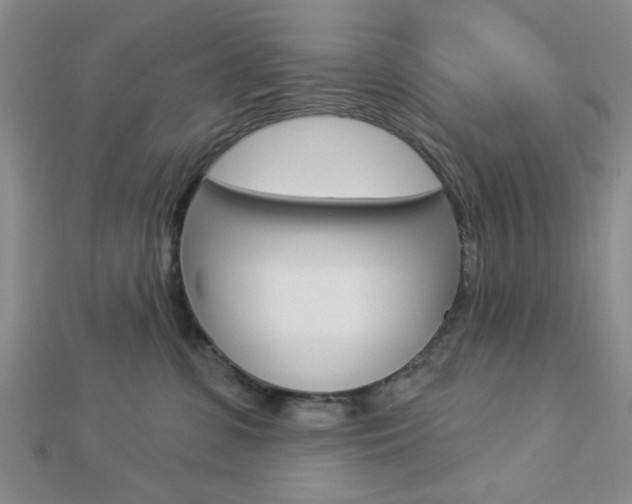 X0000112910331200908241014