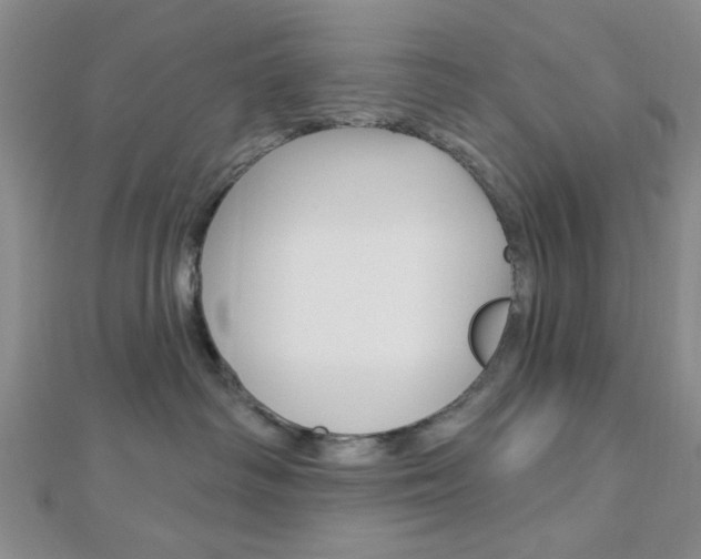 X0000112910334200908241014