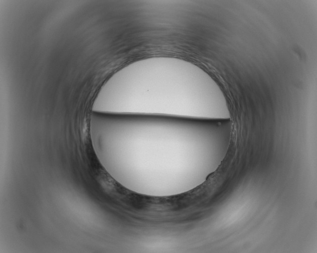 X0000112910335200908241014