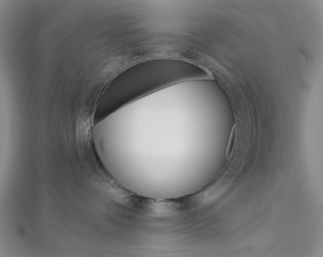 X0000112910336200908241014