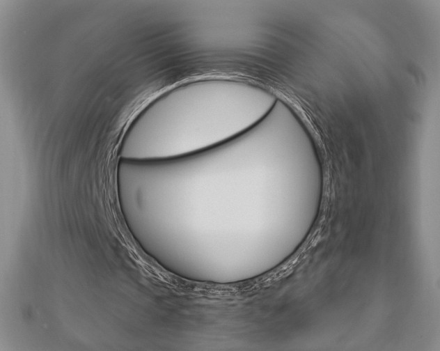 X0000112910337200908241013