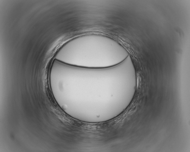 X0000112910339200908241013