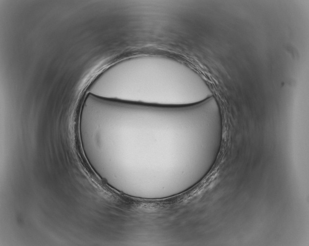X0000112910341200908241013