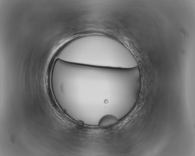 X0000112910342200908241013