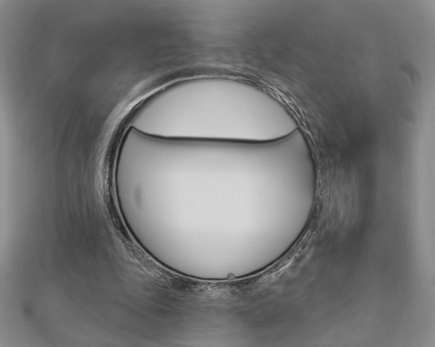 X0000112910343200908241013