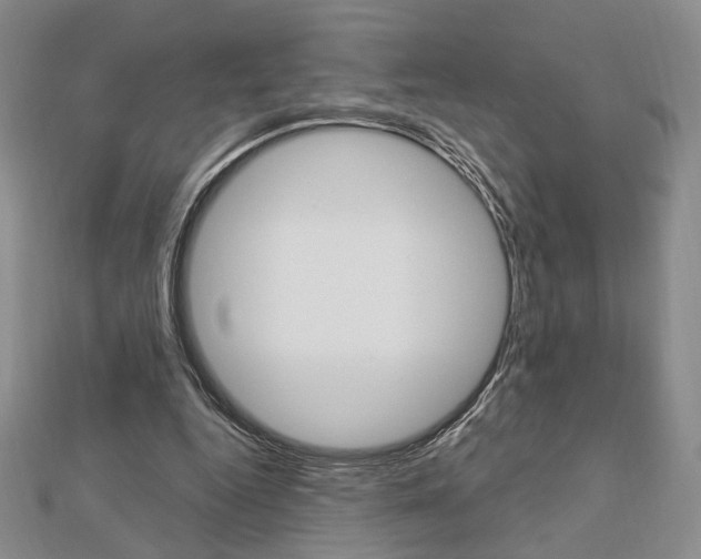 X0000112910344200908241013
