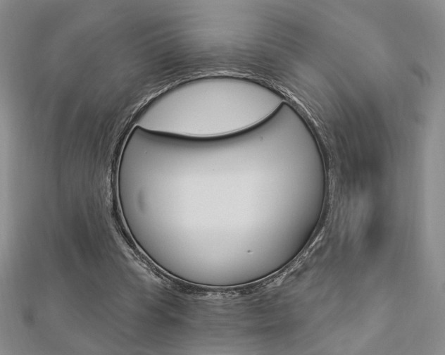 X0000112910345200908241013