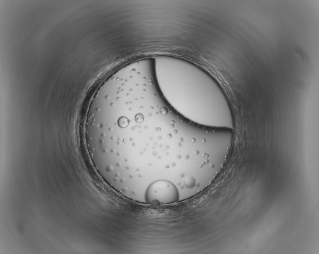 X0000112910346200908241013