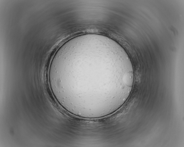 X0000112910347200908241013