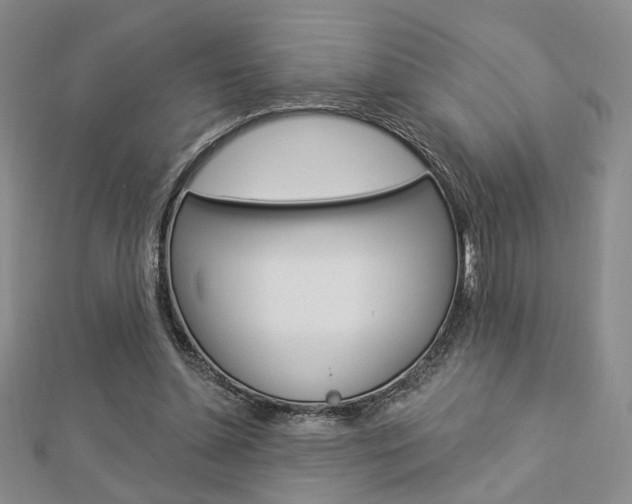 X0000112910348200908241013