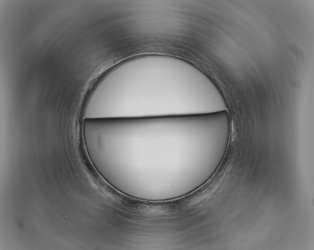 X0000112910349200908241013