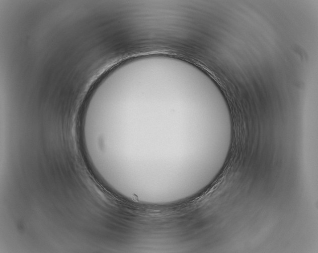 X0000112910350200908241013