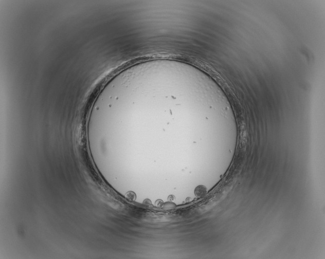 X0000112910351200908241013