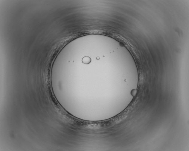 X0000112910353200908241013