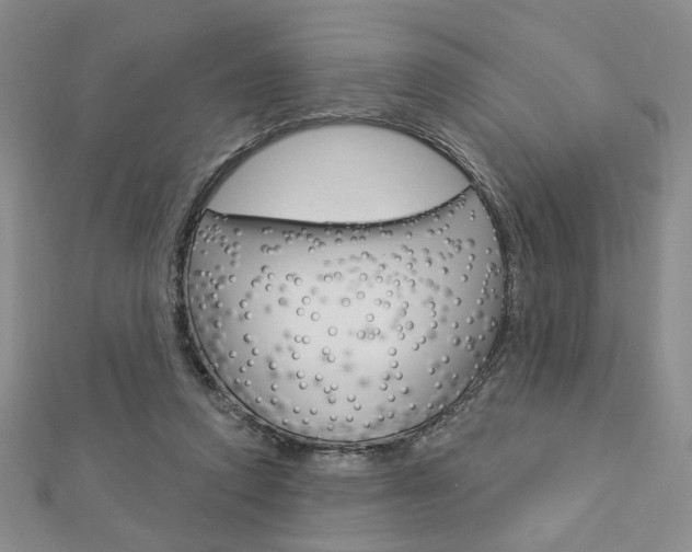 X0000112910354200908241013