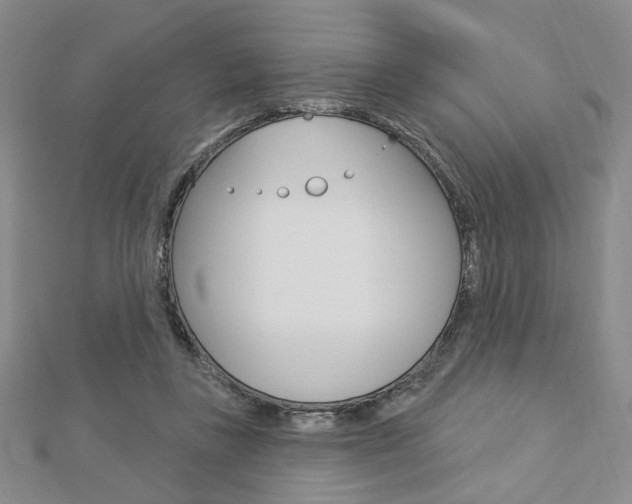 X0000112910355200908241013