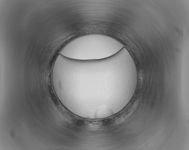 X0000112910359200908241013