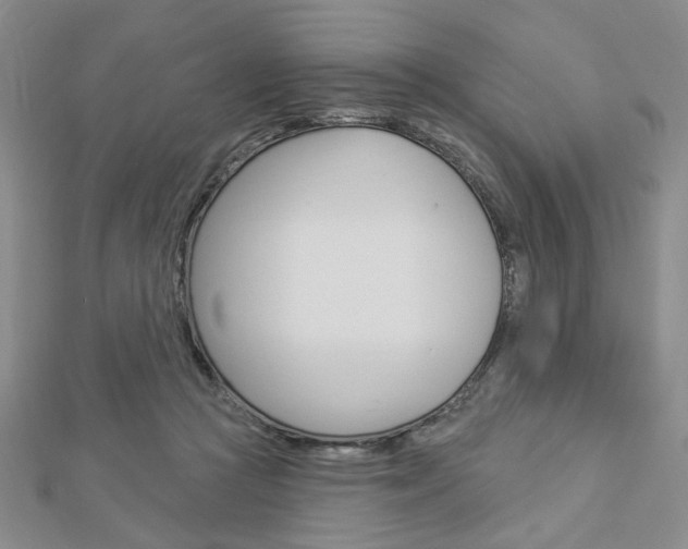 X0000112910361200908241013