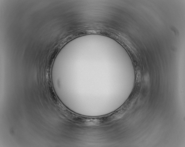 X0000112910363200908241013