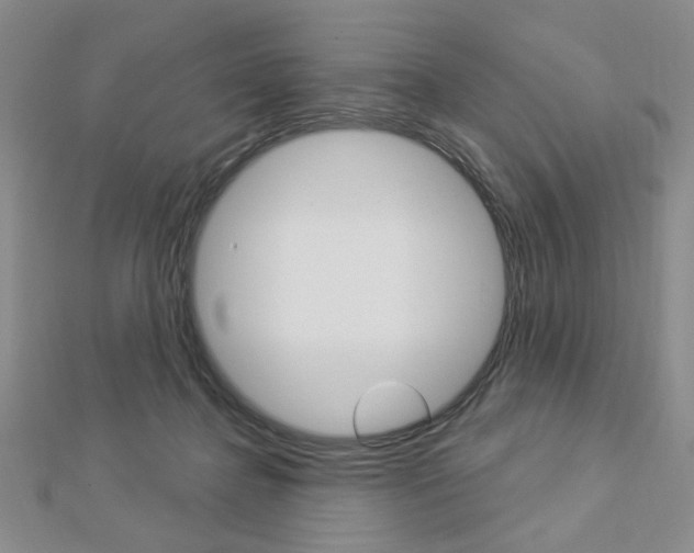 X0000112910364200908241013