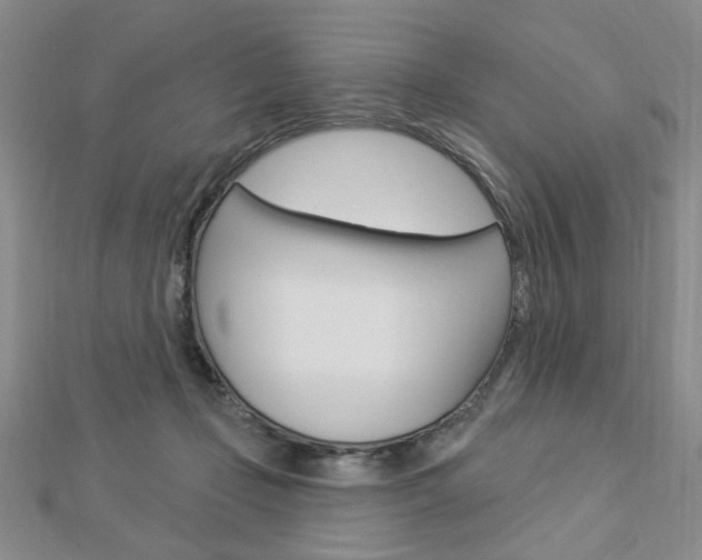 X0000112910365200908241013