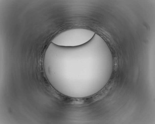 X0000112910369200908241013