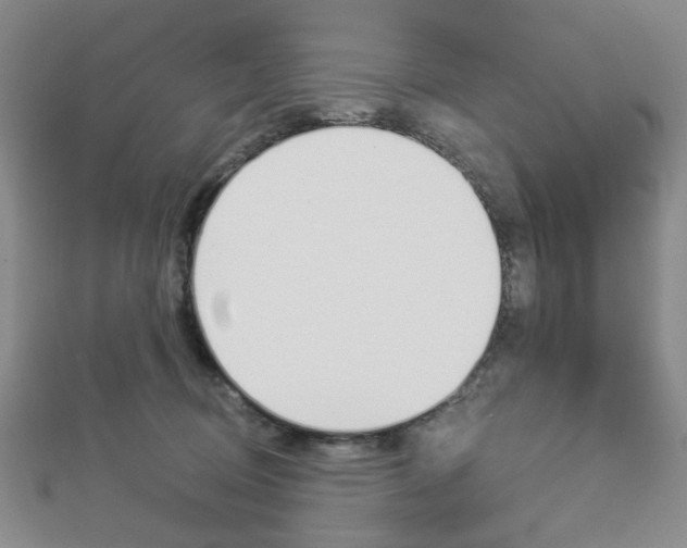 X0000112910370200908241014