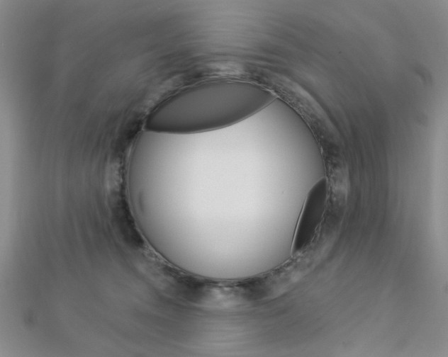 X0000112910372200908241014