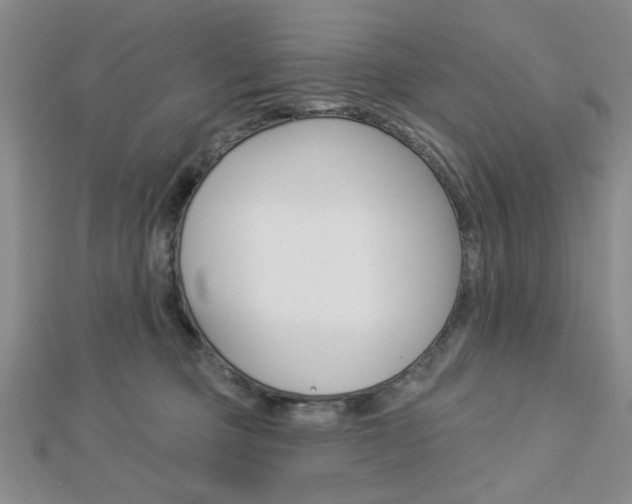 X0000112910373200908241014