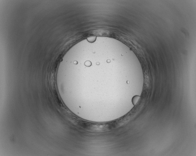 X0000112910375200908241014