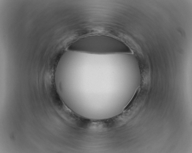 X0000112910376200908241014