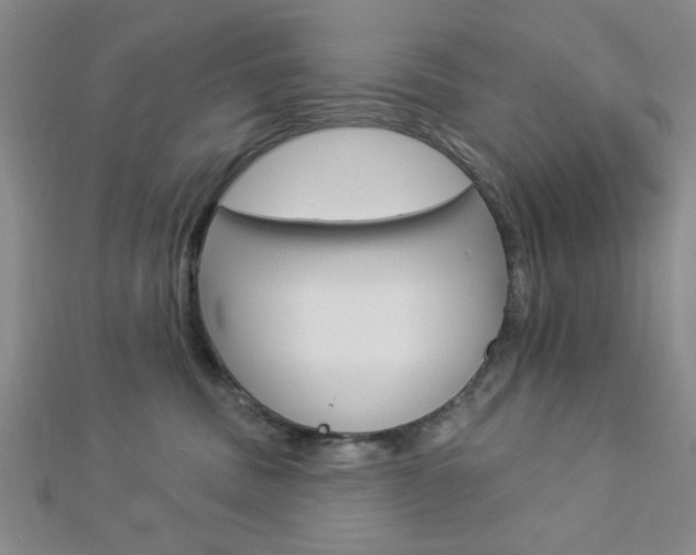 X0000112910379200908241014